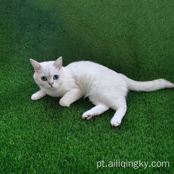 Grama falsa para cães gatos